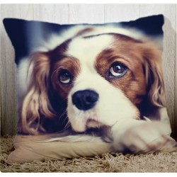 Custom Printed Cushion...