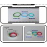 Embossed, Debossed, Screen Print, Color Filled, Glow Customized Text Rubber Wristbands in Various Colors