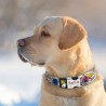 Adjustable Nylon Dog Collar - Personalized Dogs Cat ID Collars With Engraved Name Buckle for Small Medium & Large Dogs