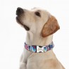 Adjustable Nylon Dog Collar - Personalized Dogs Cat ID Collars With Engraved Name Buckle for Small Medium & Large Dogs